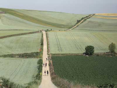 pilgrims on the road